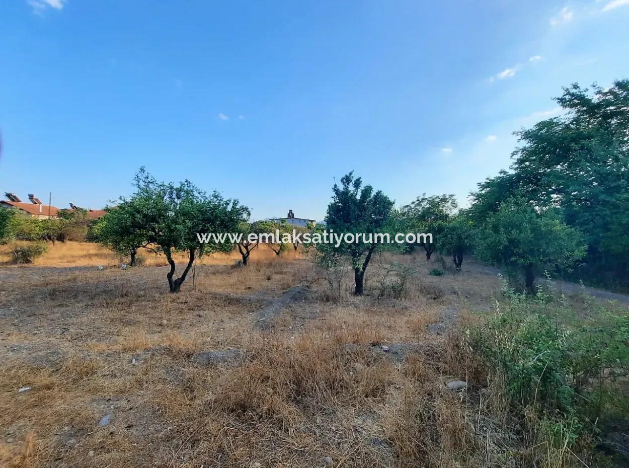 1080 M2 Zoning Land For Sale In Köyceğiz Toparlar