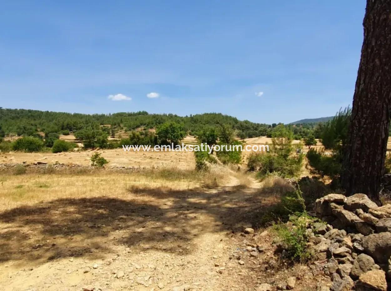 Mugla Menteşe Denizova 1869 M2 Bargain Field For Sale