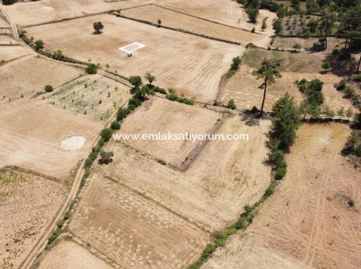 Mugla Menteşe Denizova 1869 M2 Bargain Field For Sale