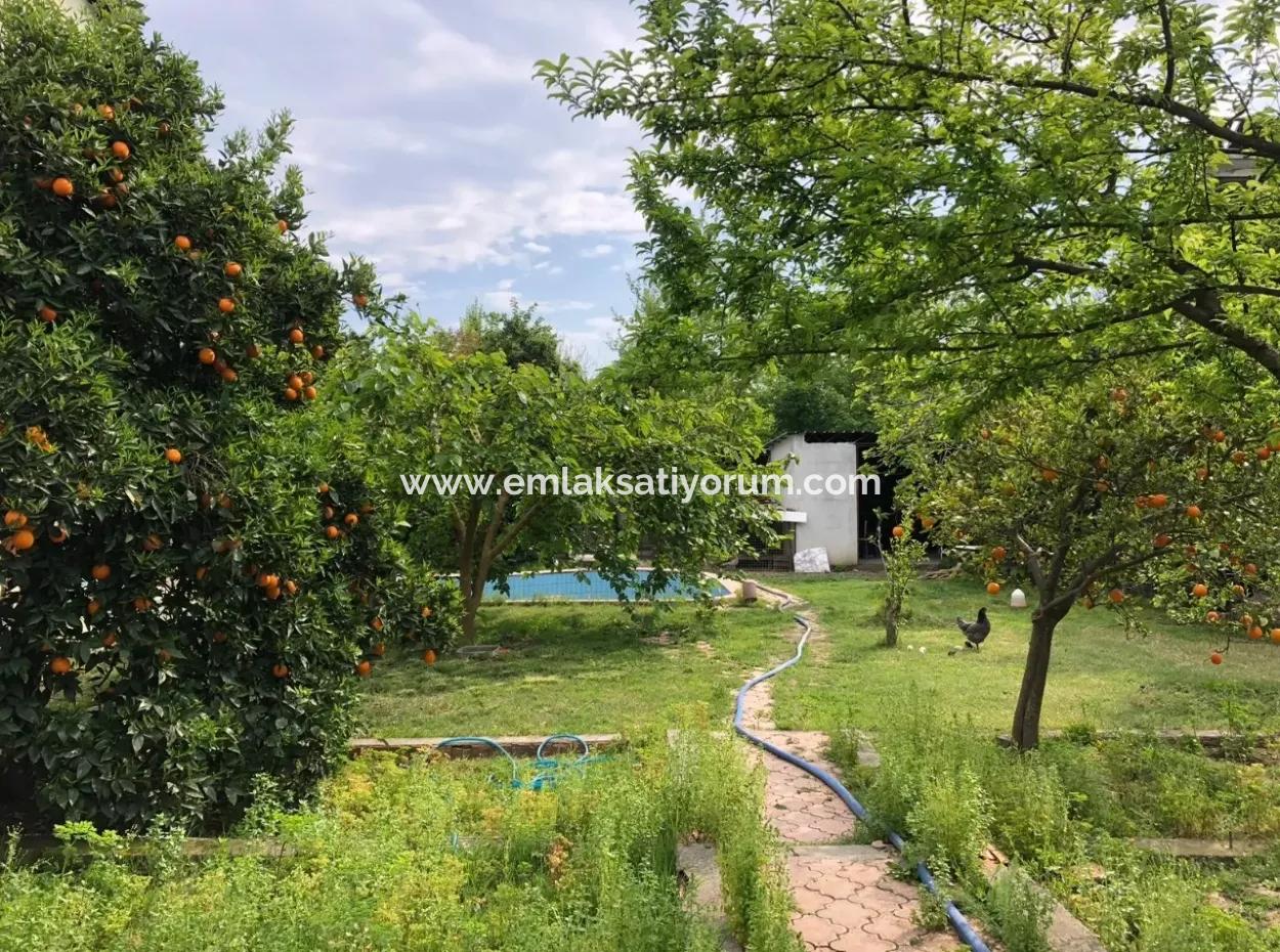 Detached House For Sale In Oriya Raider