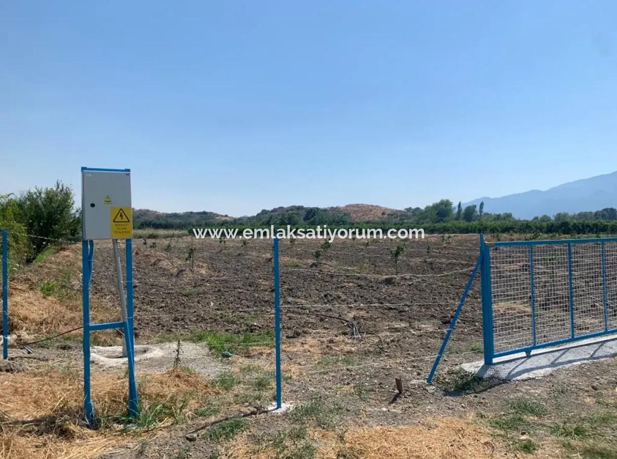 7300 M2 Lemon Field For Sale In Mugla Ortaca Tepearasi