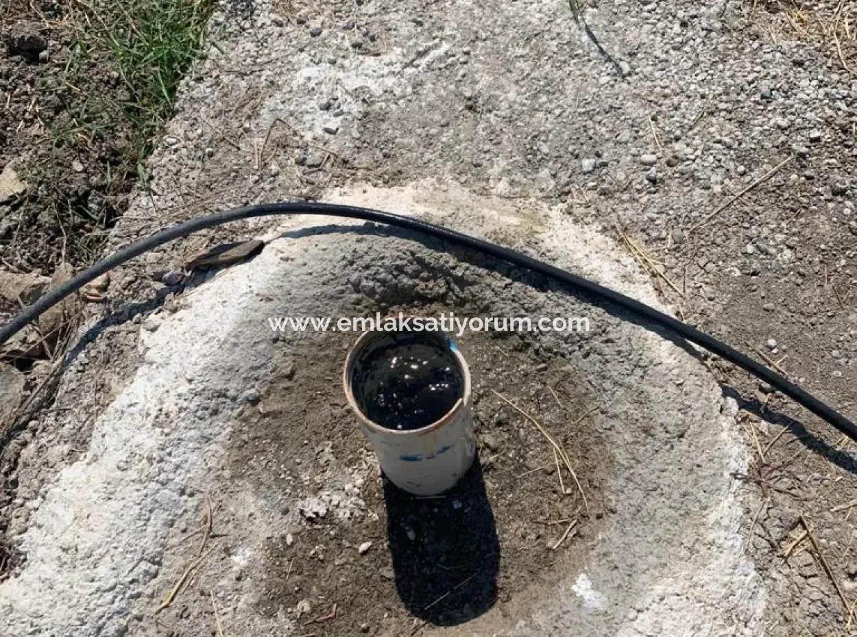 7300 M2 Lemon Field For Sale In Mugla Ortaca Tepearasi