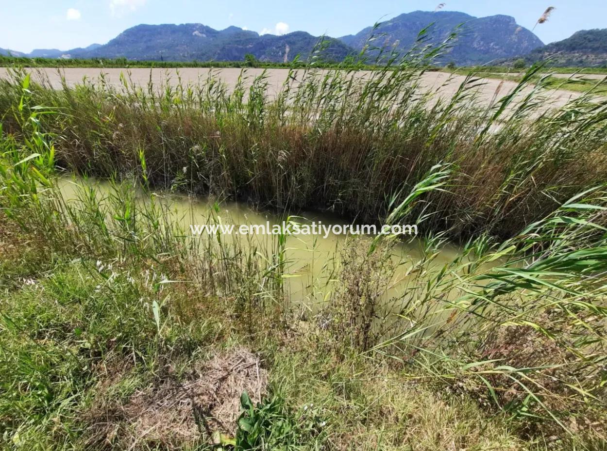 Fertile Land For Rent In Ortaca Güzelyurt