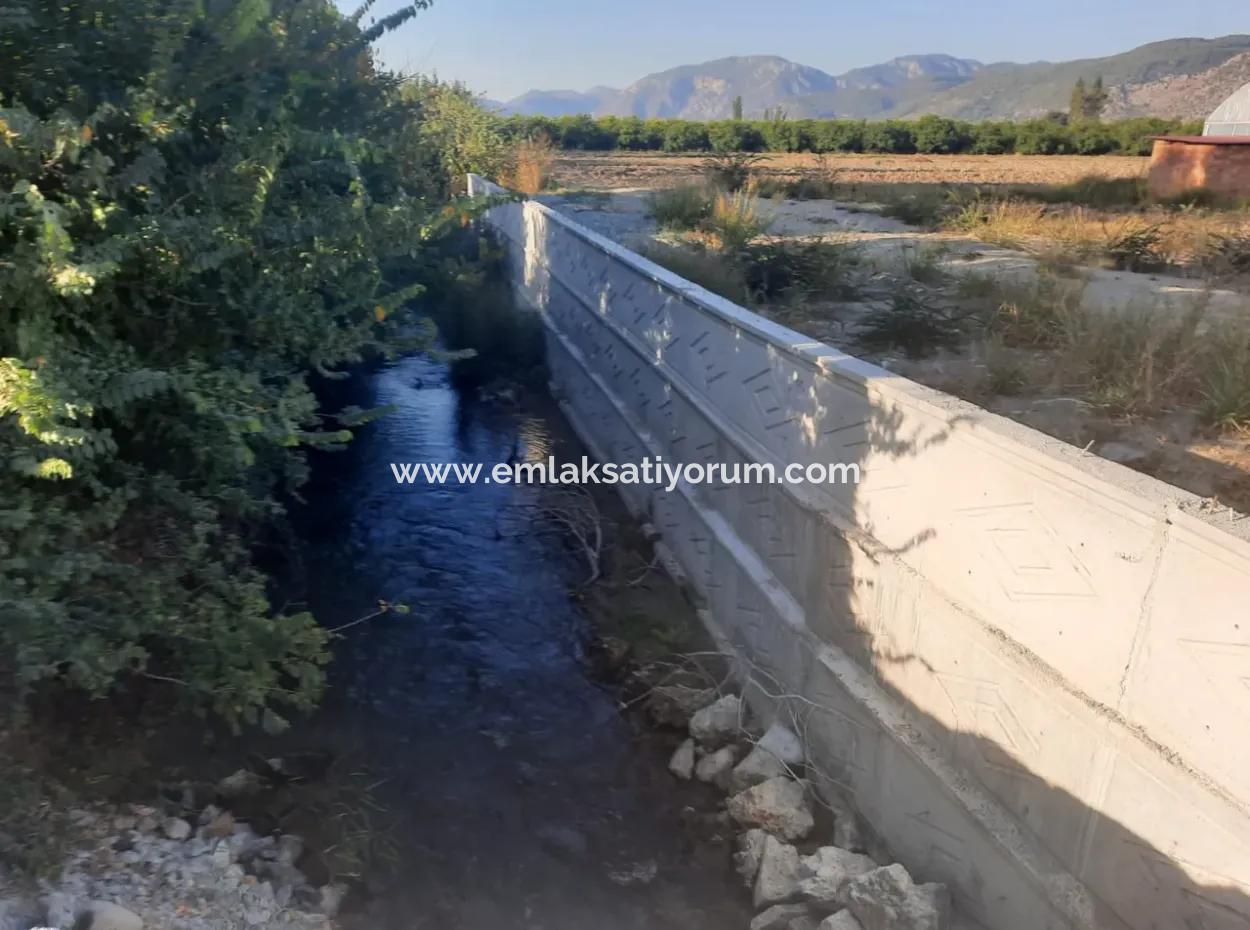 Mugla Ortaca 4123 M2 Field And Pitaya Fruit Greenhouse For Sale