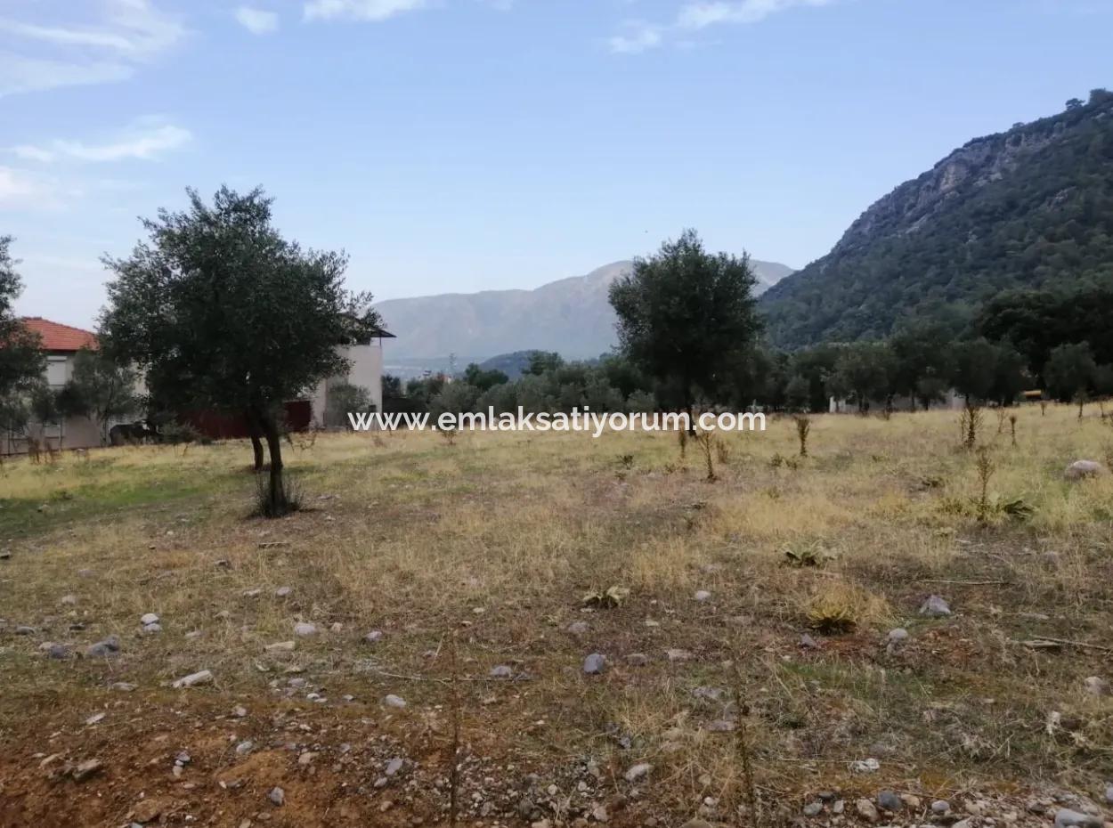 2788 M2 Field With Lake View For Sale In Mugla Köyceğiz Zeytinalanı