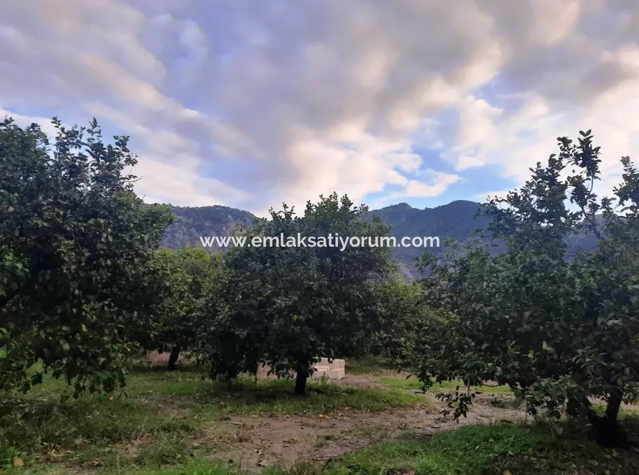 Mugla Dalyan 1100 M2 Land With Bargain Shares Suitable For Investment For Sale