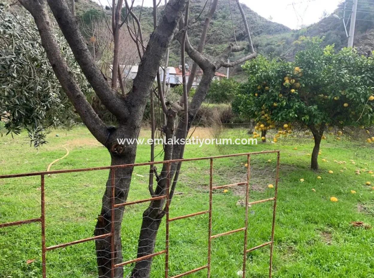 Mugla Ortaca 317 M2 30% Zoning Land For Sale