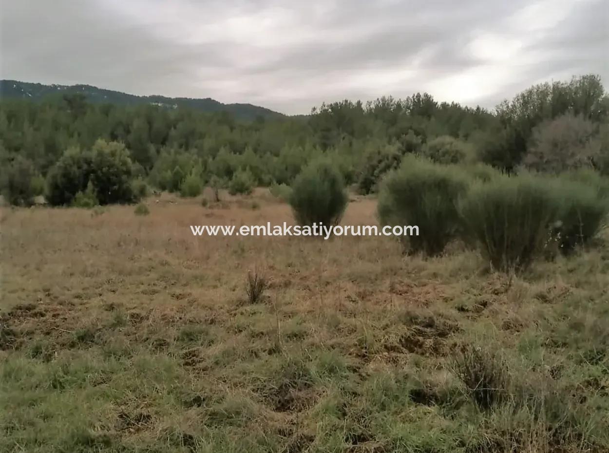 30949 M2 Fertile Field For Sale In Mugla Dalaman Gürleyik