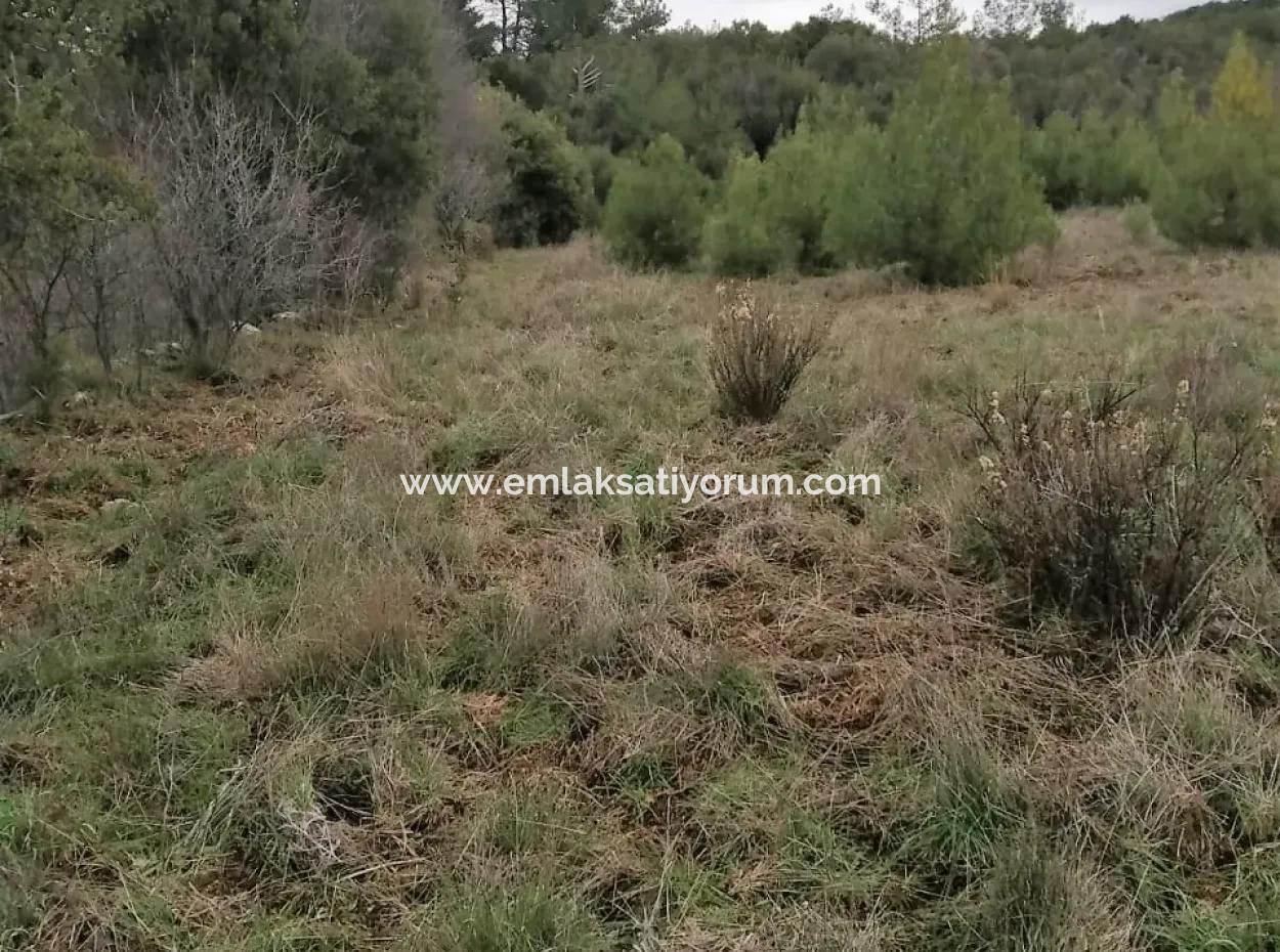 30949 M2 Fertile Field For Sale In Mugla Dalaman Gürleyik