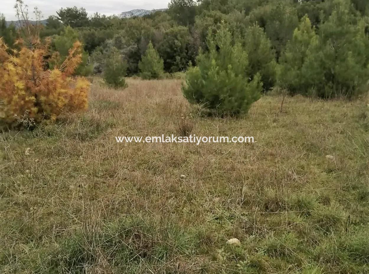 30949 M2 Fertile Field For Sale In Mugla Dalaman Gürleyik