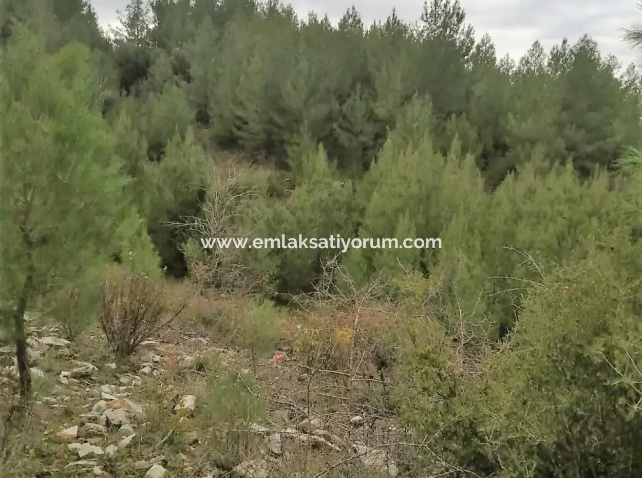 30949 M2 Fertile Field For Sale In Mugla Dalaman Gürleyik