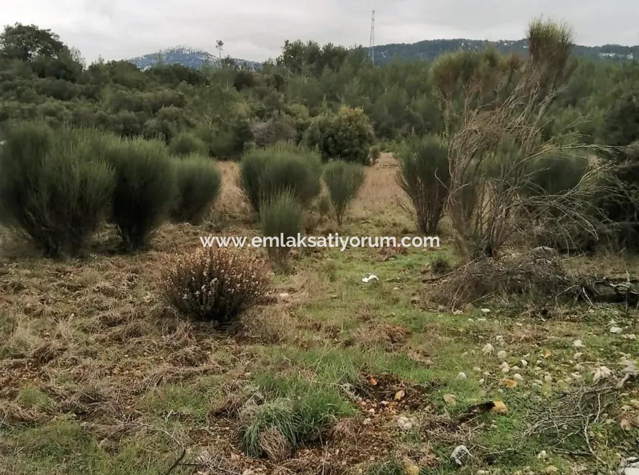 30949 M2 Fertile Field For Sale In Mugla Dalaman Gürleyik