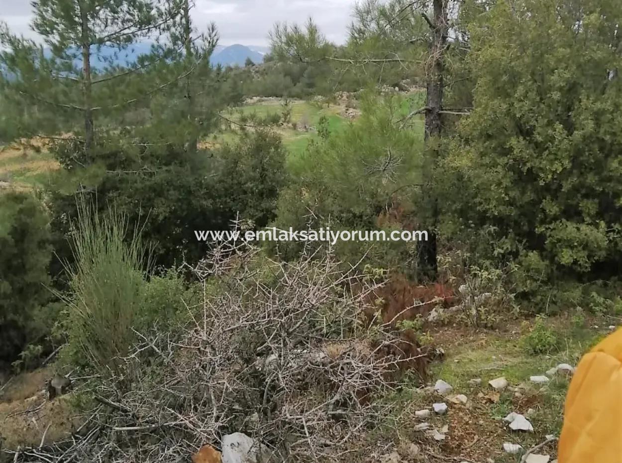 30949 M2 Fertile Field For Sale In Mugla Dalaman Gürleyik