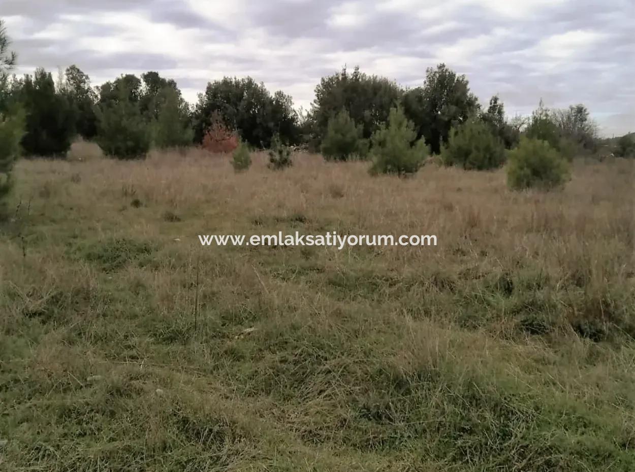 30949 M2 Fertile Field For Sale In Mugla Dalaman Gürleyik