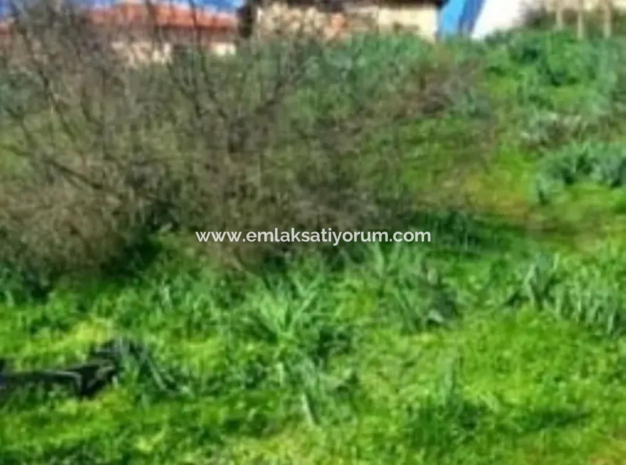 Mugla Ula Esentepe 708 M2 % 20 Zoning Land For Sale
