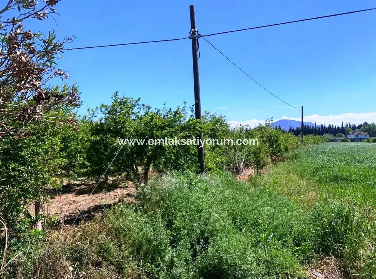 17 500 M2 Land In The Village Built-In Area For Sale In Ortaca Fevziye