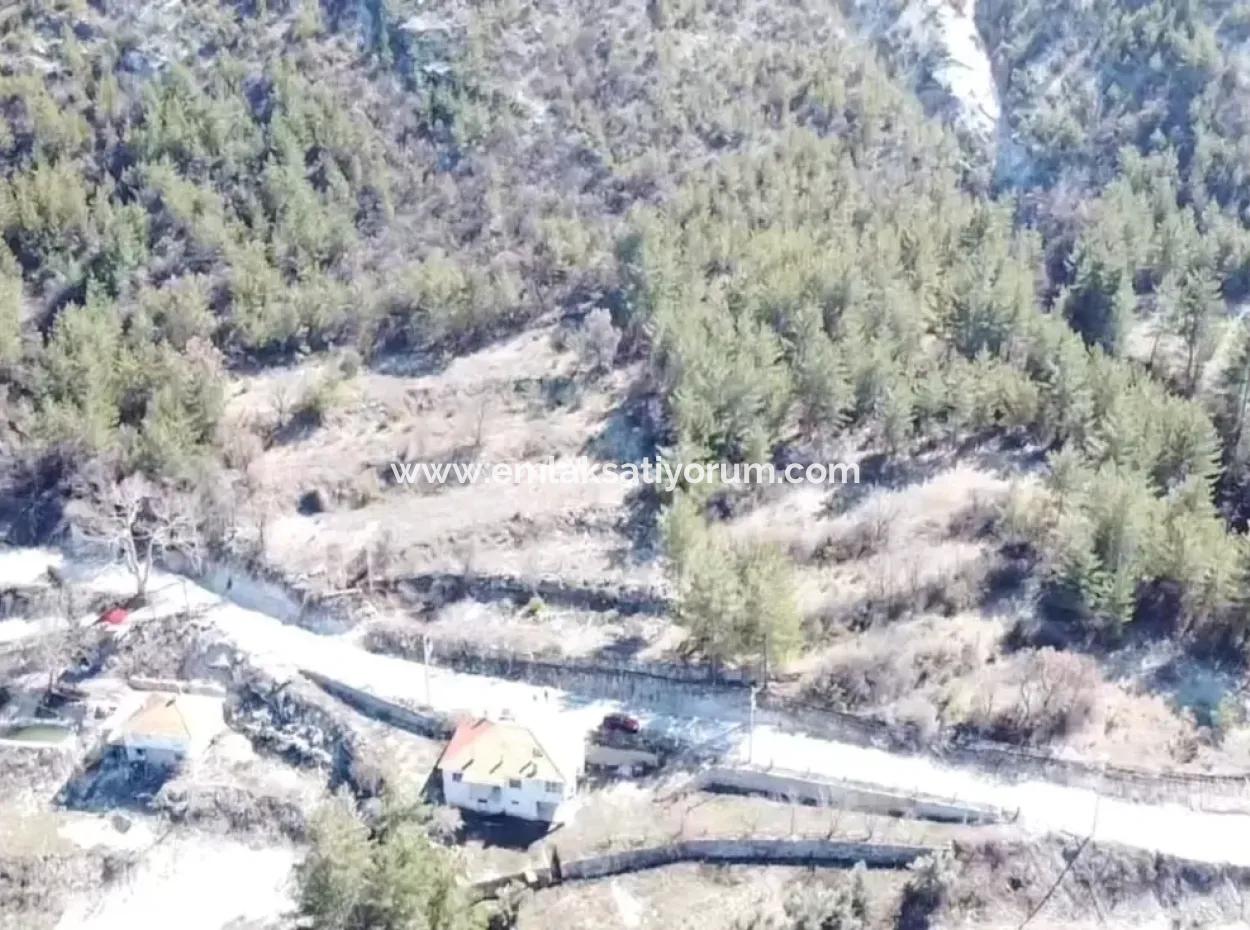 Denizli Çameli Ericek 5058 M2 Asphalt Edge Field For Sale