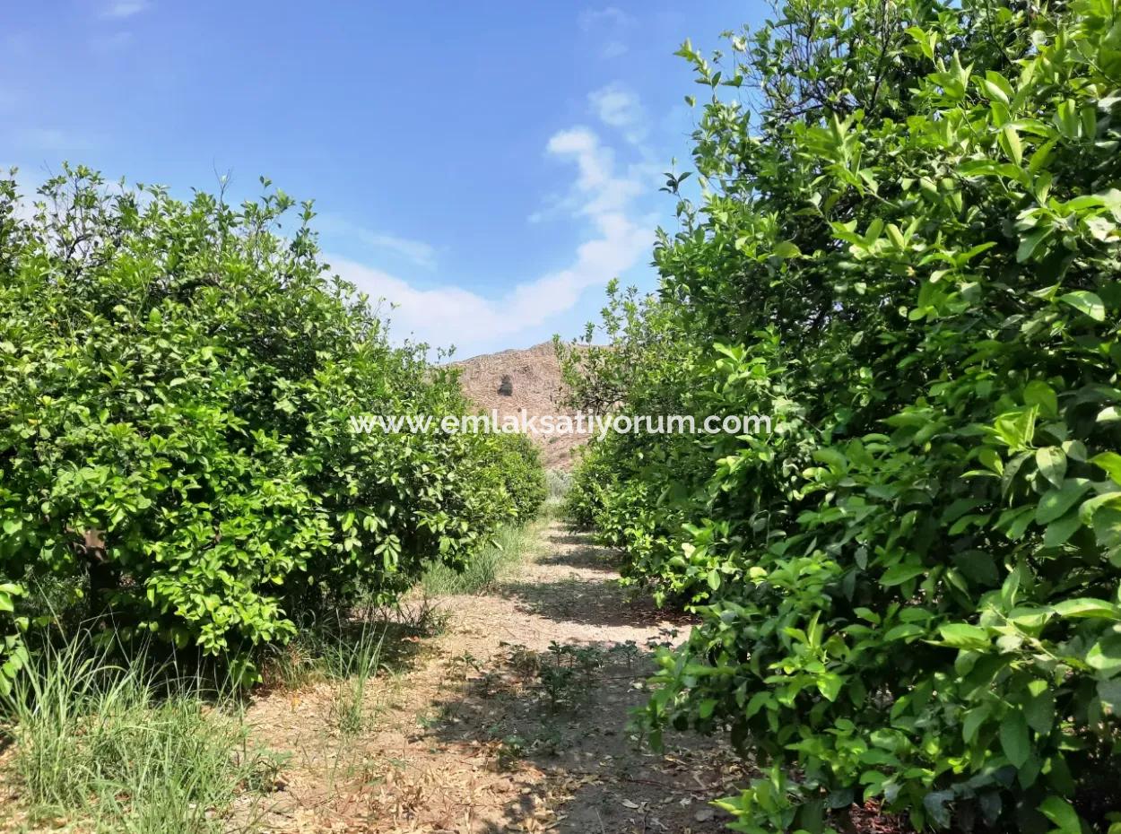 Village House For Sale In Ortaca Akıncıda On A Land Of 2500 M2