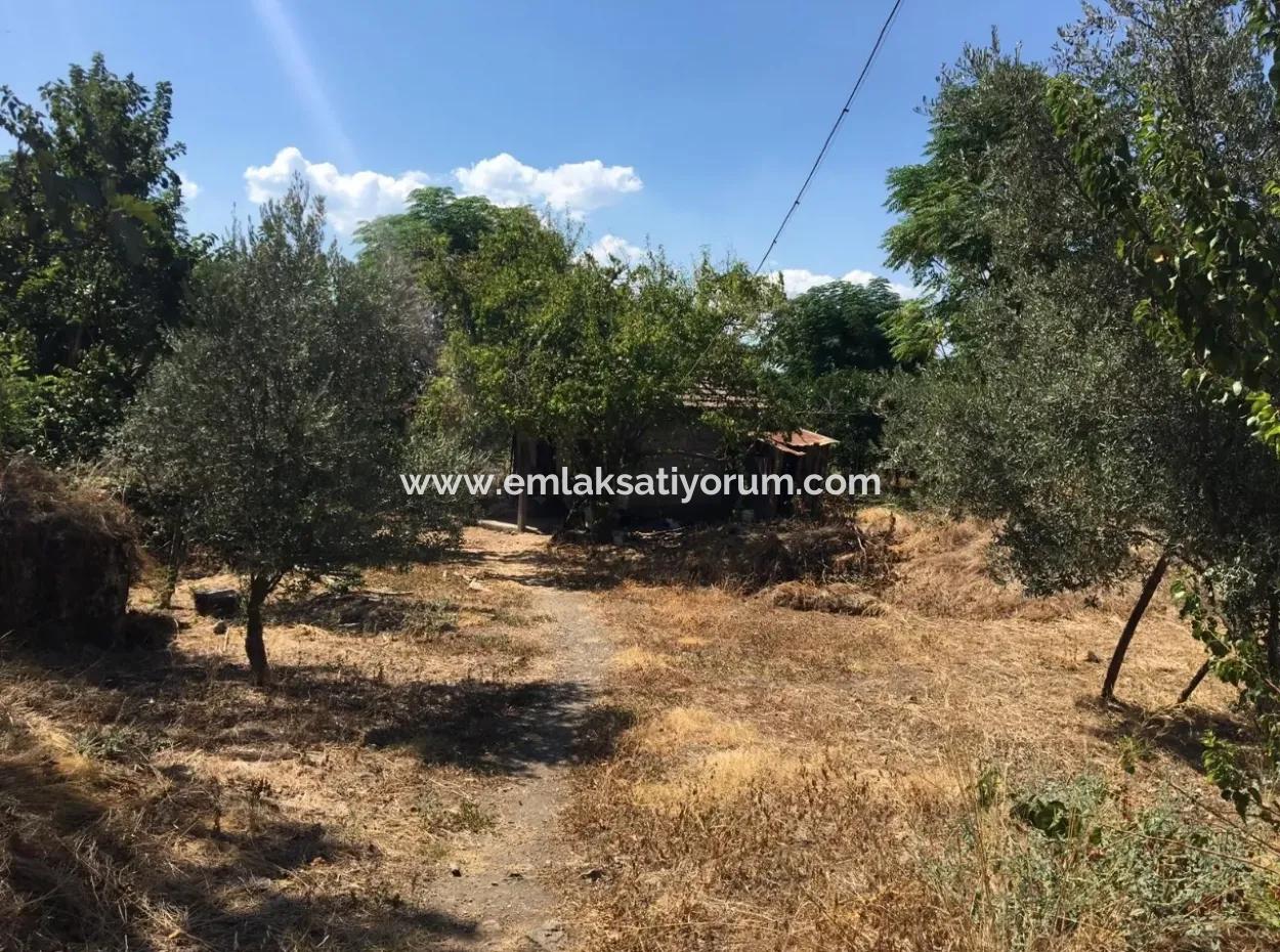 Köyceğiz And Dalyan Mah. Village House For Sale