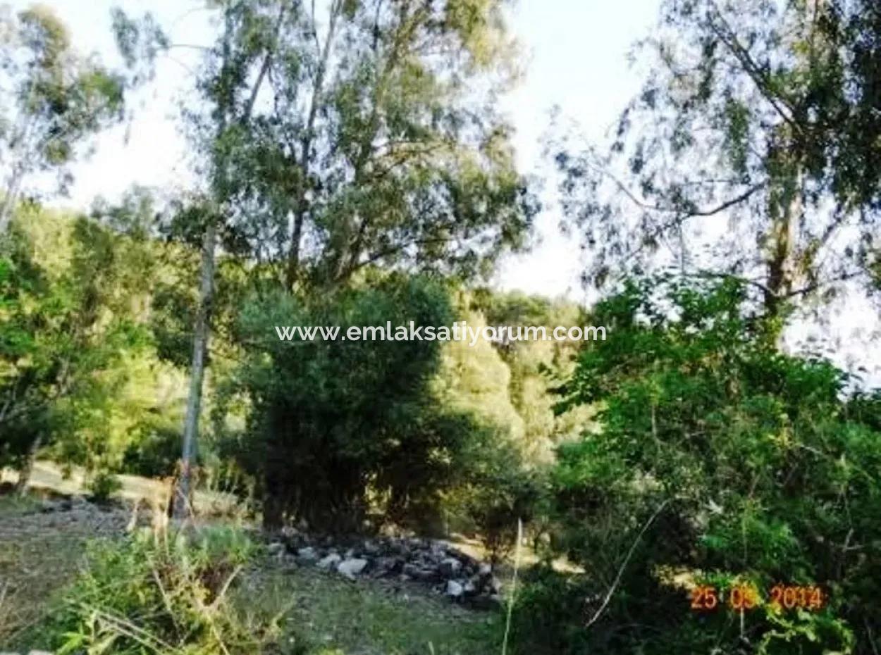 600 M2 Sea View Garden For Sale In Mugla Fethiye Eldirek