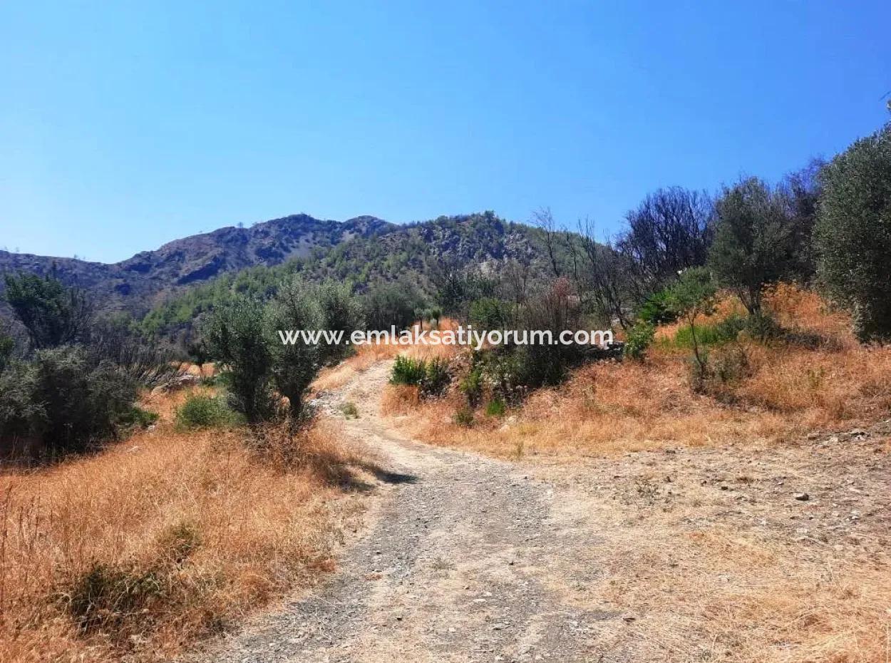 Muğla Dalaman 42.432M2 Detached Land With Title Deed For Sale