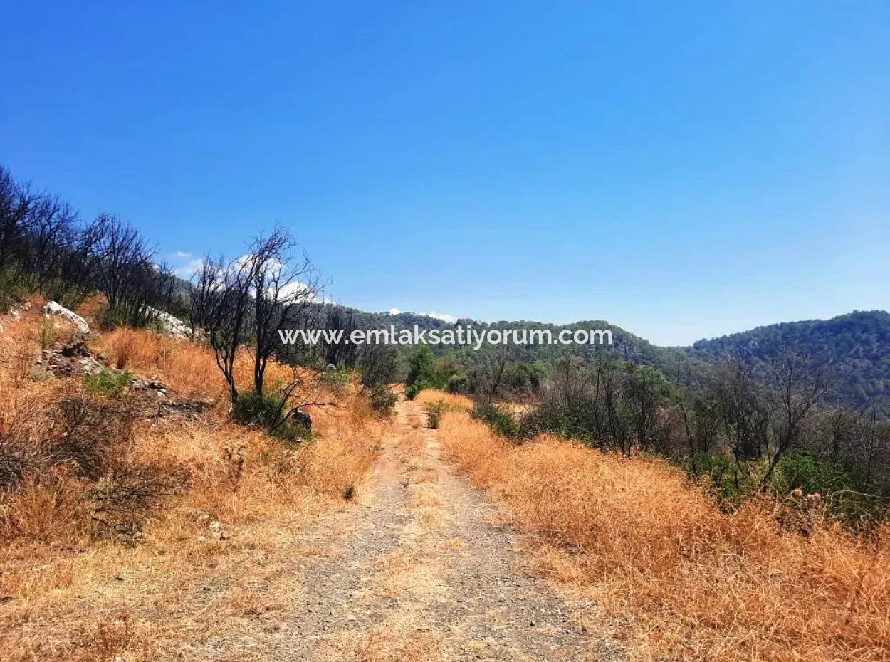 Muğla Dalaman 42.432M2 Detached Land With Title Deed For Sale