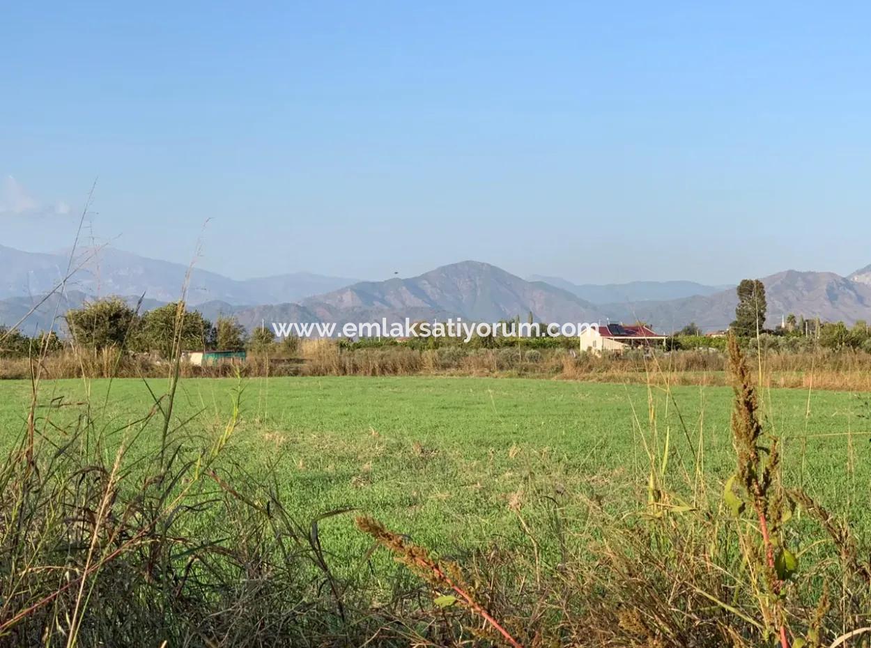 3000 M2 Of 28.394 M2 In Ortaca Güzelyurt Field For Sale