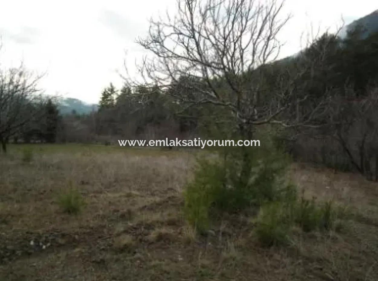 1985 M2 Land And Old Village House For Sale In Fethiye Nif