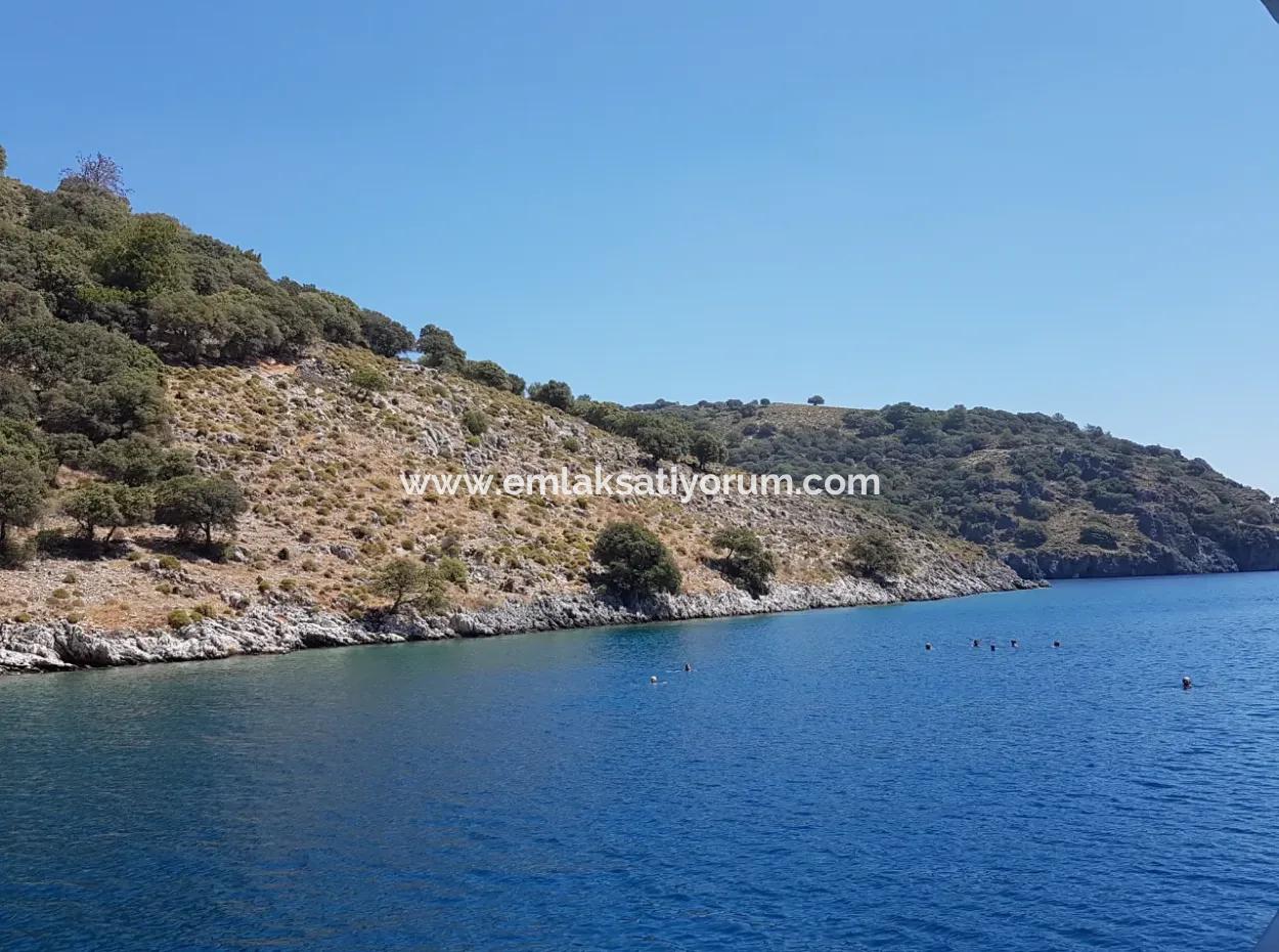 Fethiye Gocek Island Sea Side Location 2600 M2 Olive Grove For Sale
