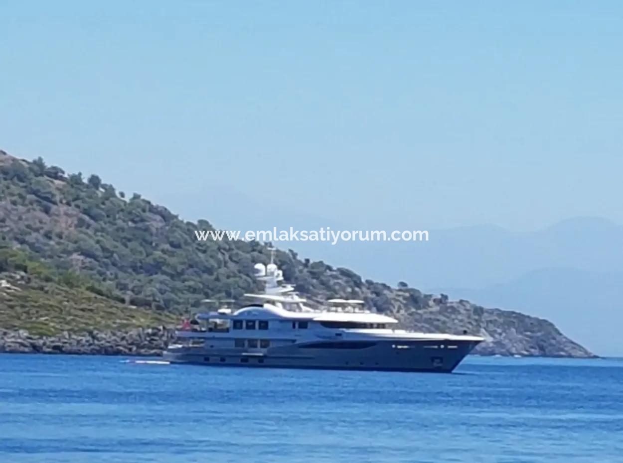Fethiye Gocek Island Sea Side Location 2600 M2 Olive Grove For Sale