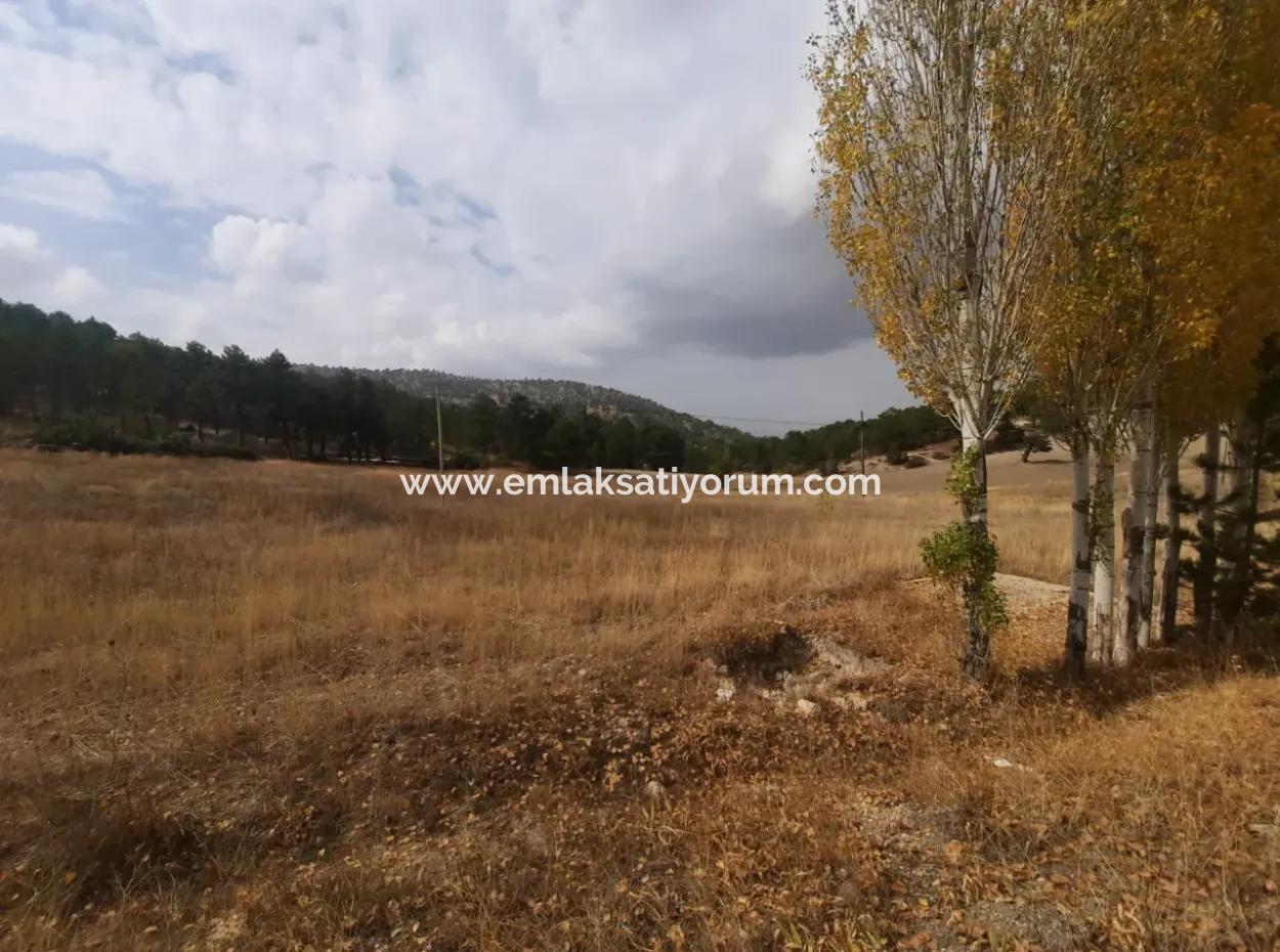 6 230 M2 Detached Land For Sale Or Exchange On The Old Acıpayam Road In Çameli Cumanda