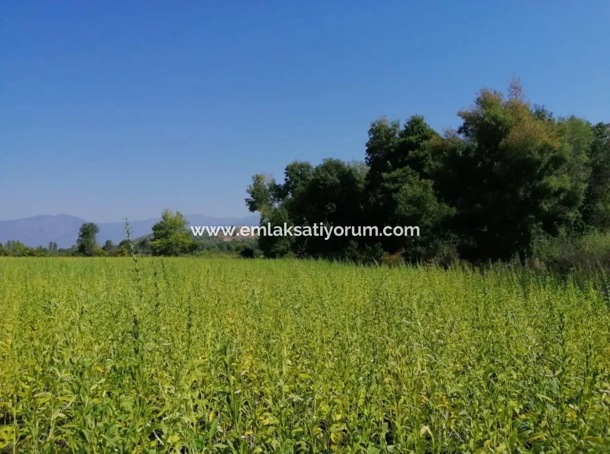 Farm For Sale In Kavakarasi Koycegiz