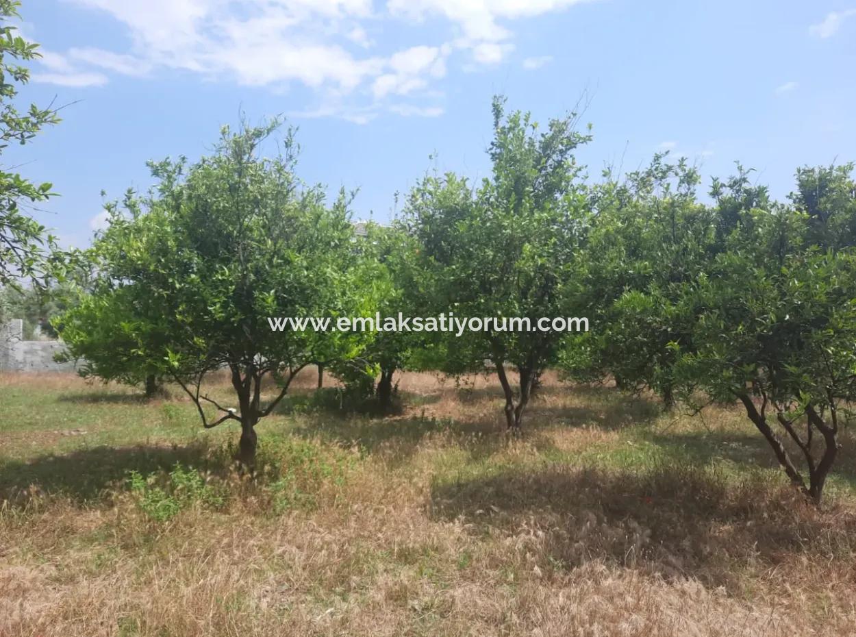 Köyceğiz Toparlar Lake View 2 100 M2 Zoned Land And 2 Houses For Sale
