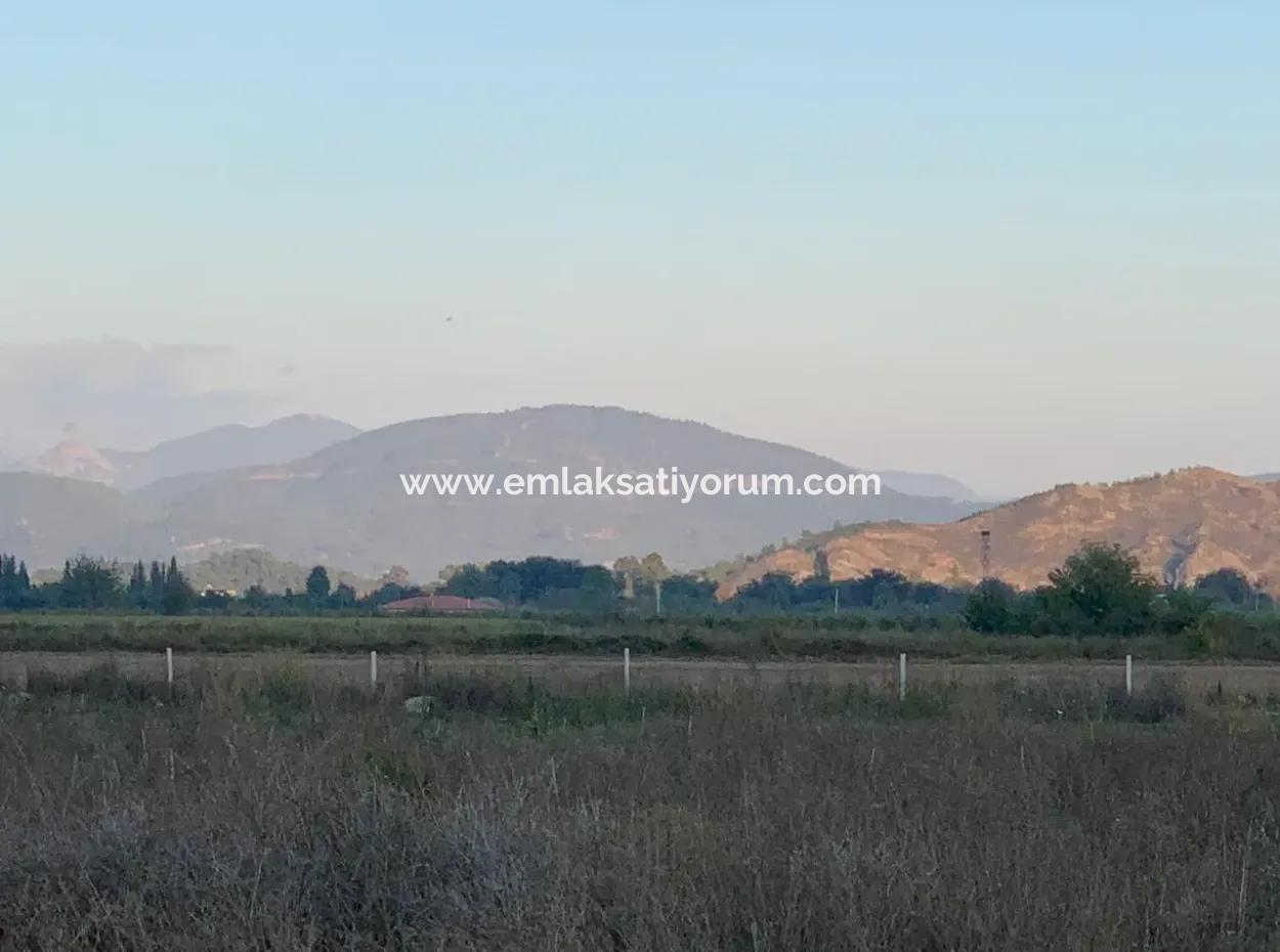 26.200 M2 Detached Field And 3.000 M2 For Sale In Ortaca Güzelyurt