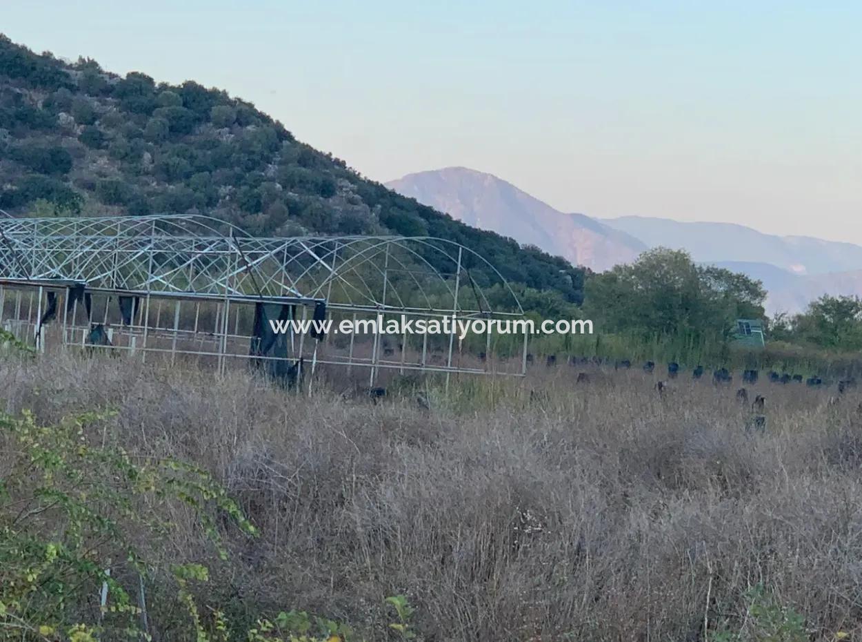 26.200 M2 Detached Field And 3.000 M2 For Sale In Ortaca Güzelyurt