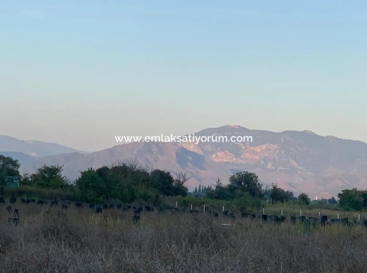 26.200 M2 Detached Field And 3.000 M2 For Sale In Ortaca Güzelyurt