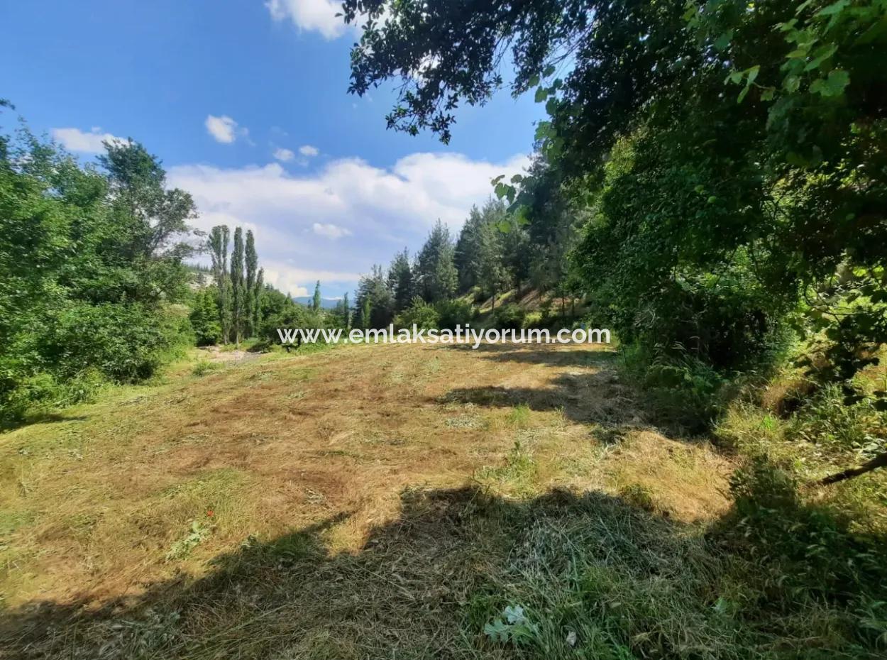 Beyağaç Sazak Ta 3 250 M2 Land Village House And Barn For Sale