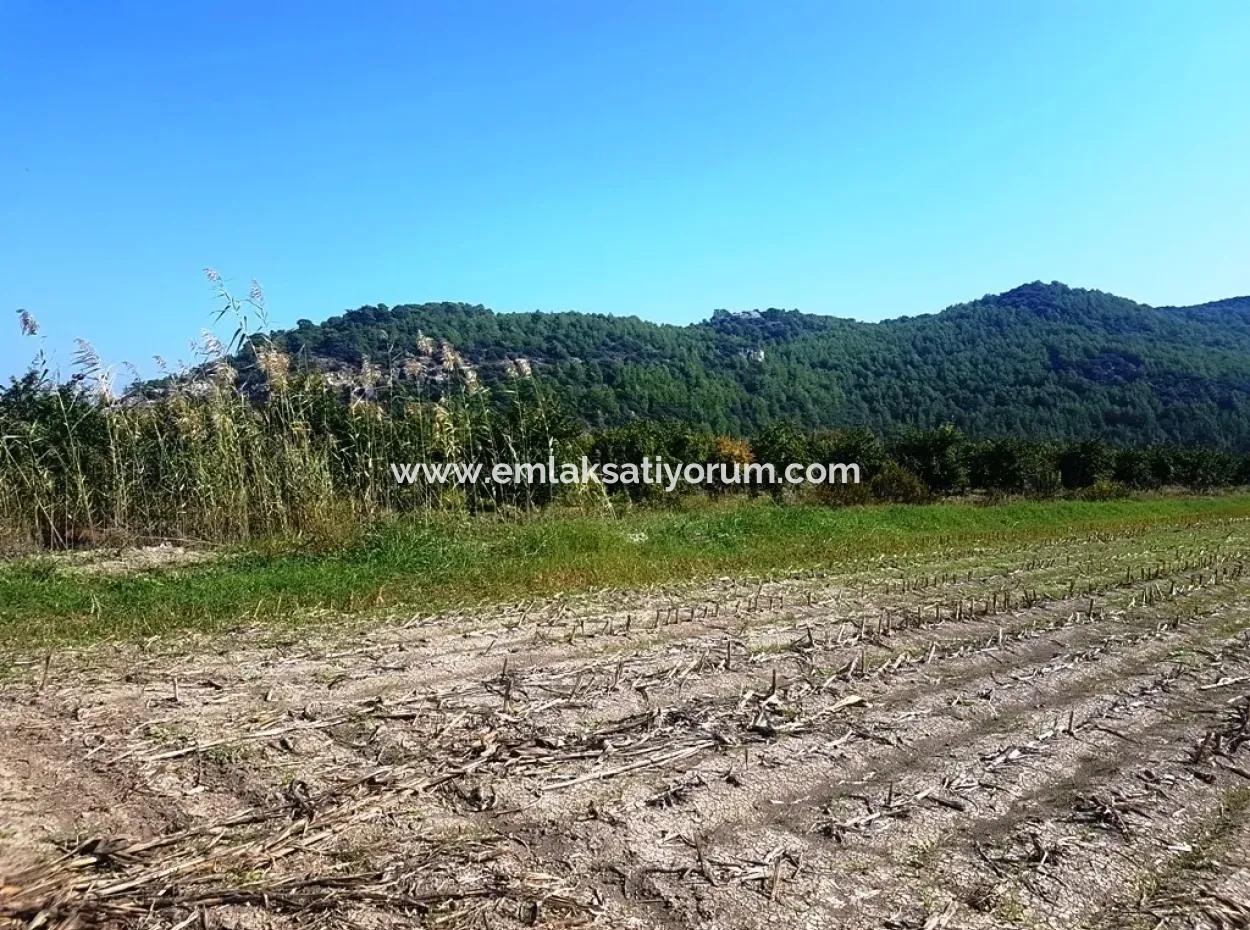 Region Of Fertile Land Rental