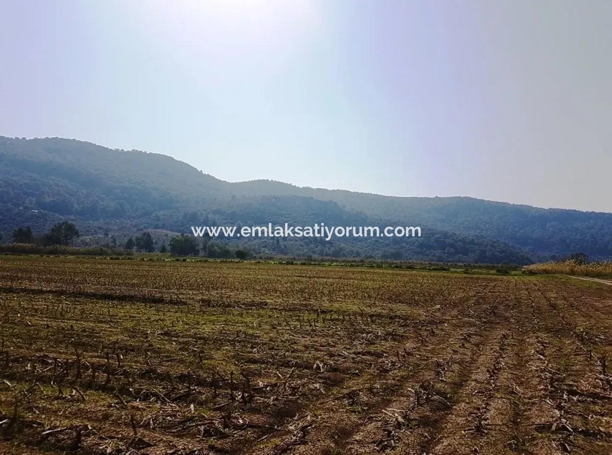 Region Of Fertile Land Rental