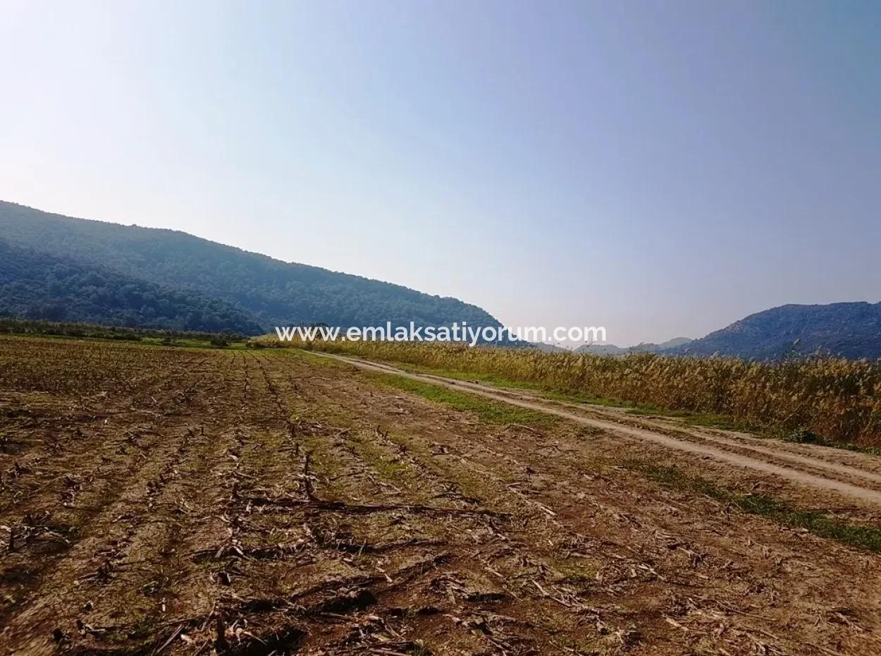 Region Of Fertile Land Rental