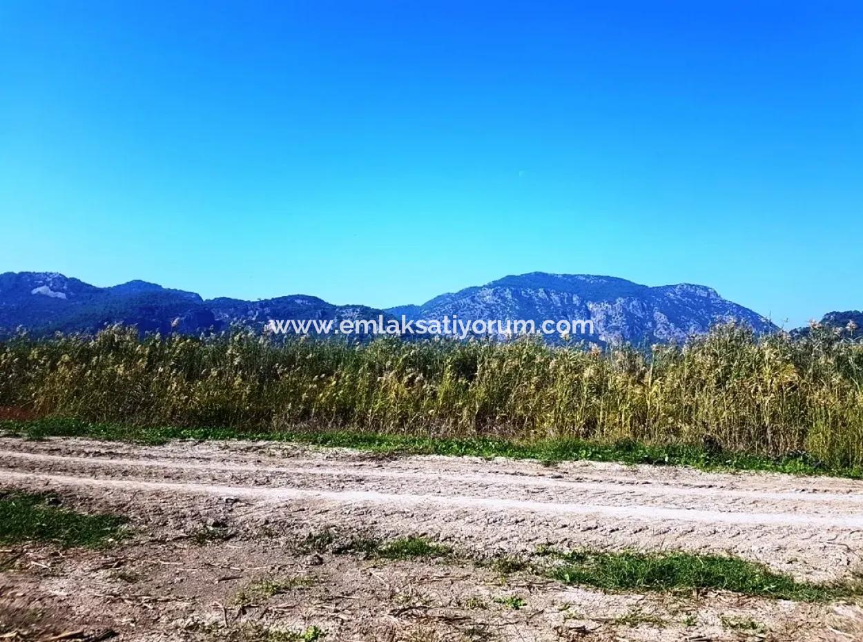 Region Of Fertile Land Rental