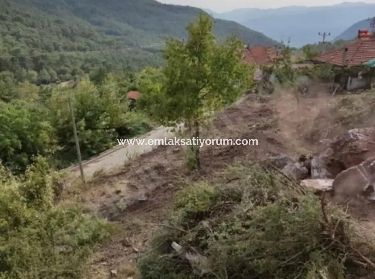 Muğla Köyceğiz Yayla Mah 570 M2 Land For Sale