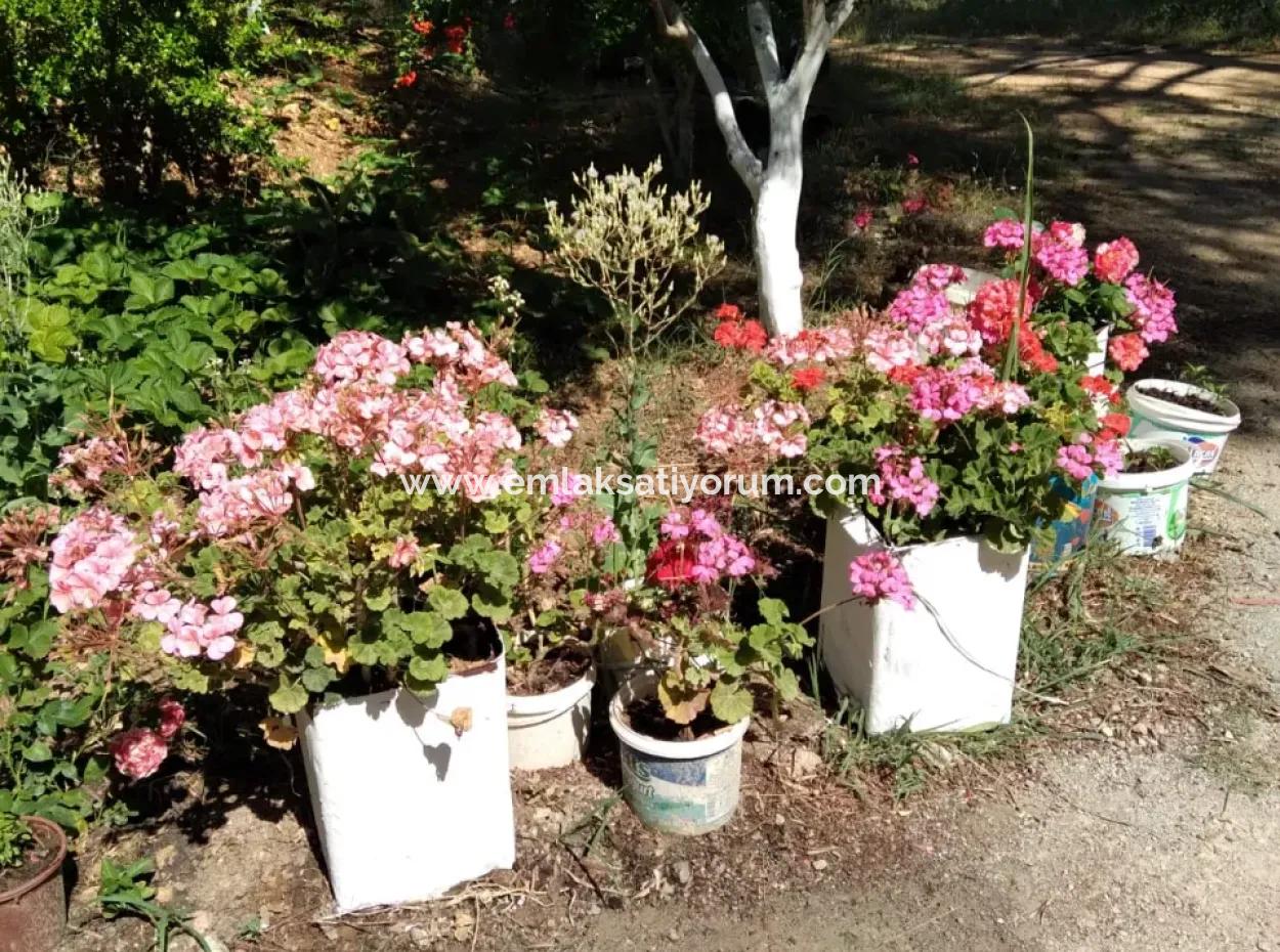 Ortaca Cumhuriyet Mah. 3-Storey House Complete For Sale In 357 M2 Plot