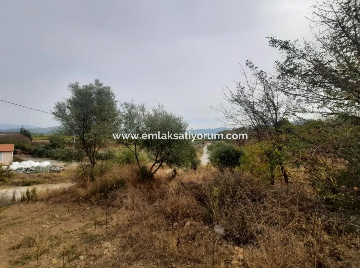 2 500 M2 Treasury Land In Eskiköy Possession Right Will Be Transferred Or Vehicle Exchanged