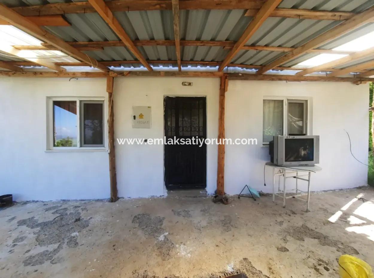 5 000 M2 Land In Çameli Kızılyaka 2 In 1 Detached House, And Barn For Rent