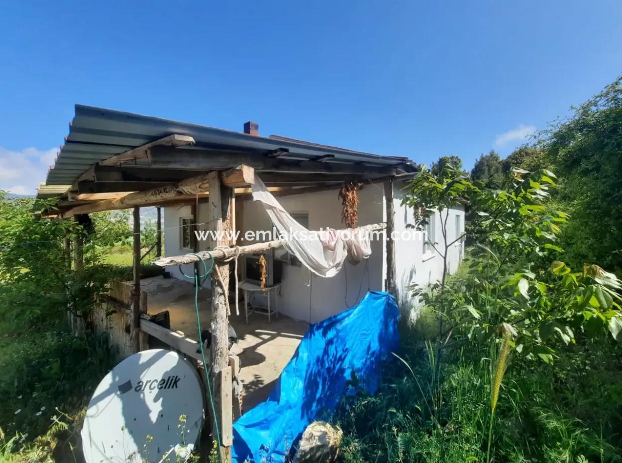 5 000 M2 Land In Çameli Kızılyaka 2 In 1 Detached House, And Barn For Rent