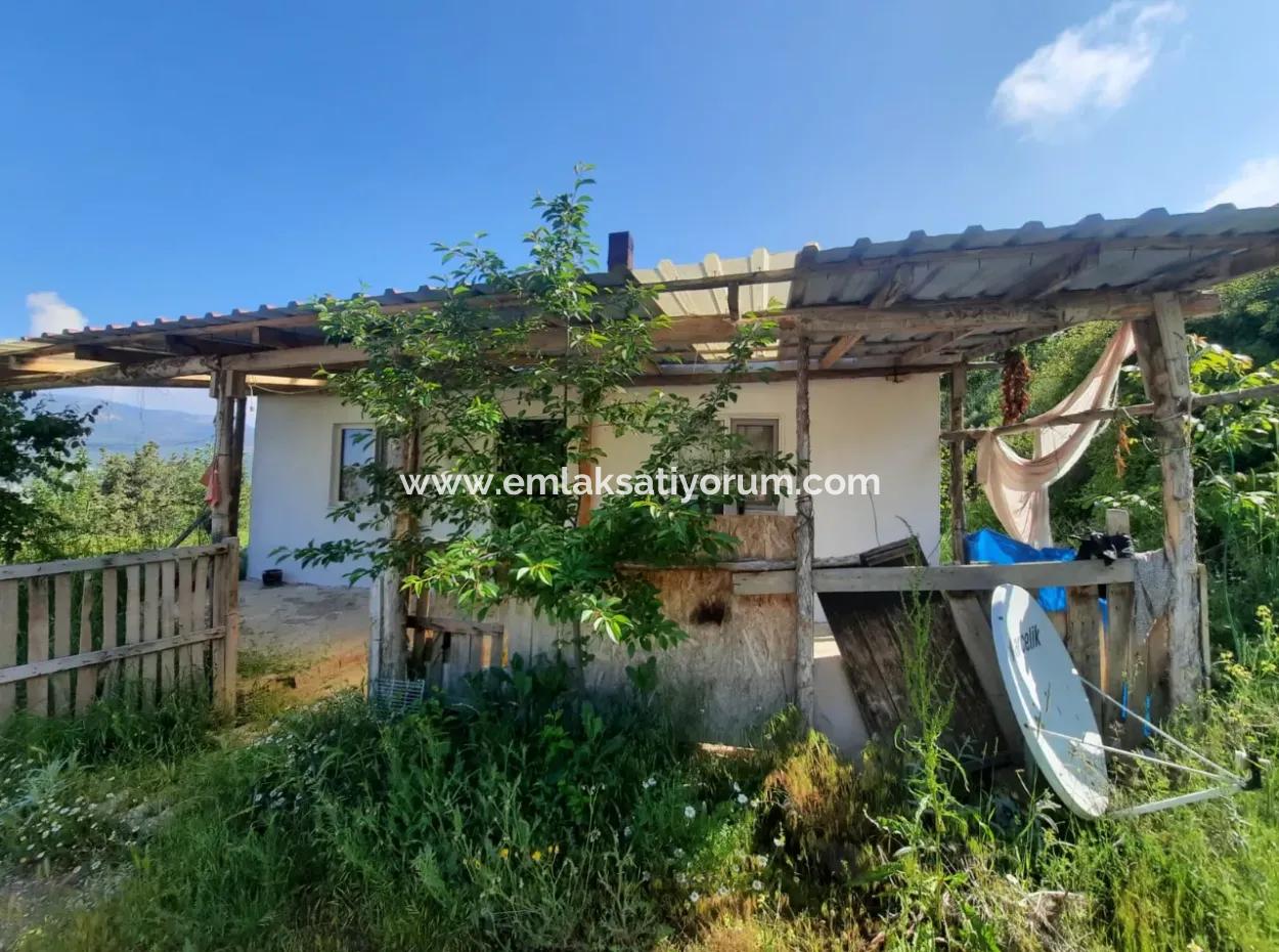 5 000 M2 Land In Çameli Kızılyaka 2 In 1 Detached House, And Barn For Rent