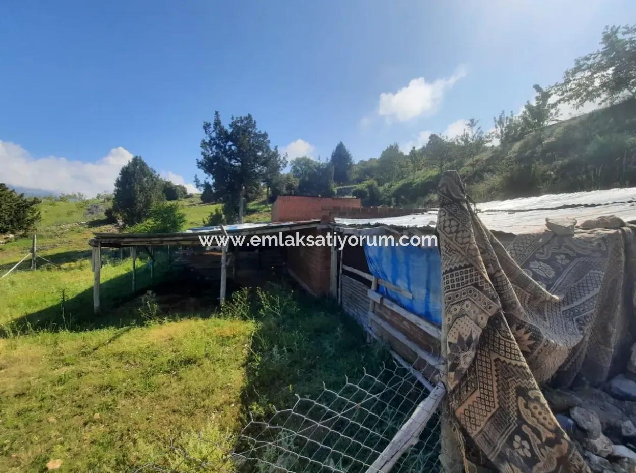 5 000 M2 Land In Çameli Kızılyaka 2 In 1 Detached House, And Barn For Rent