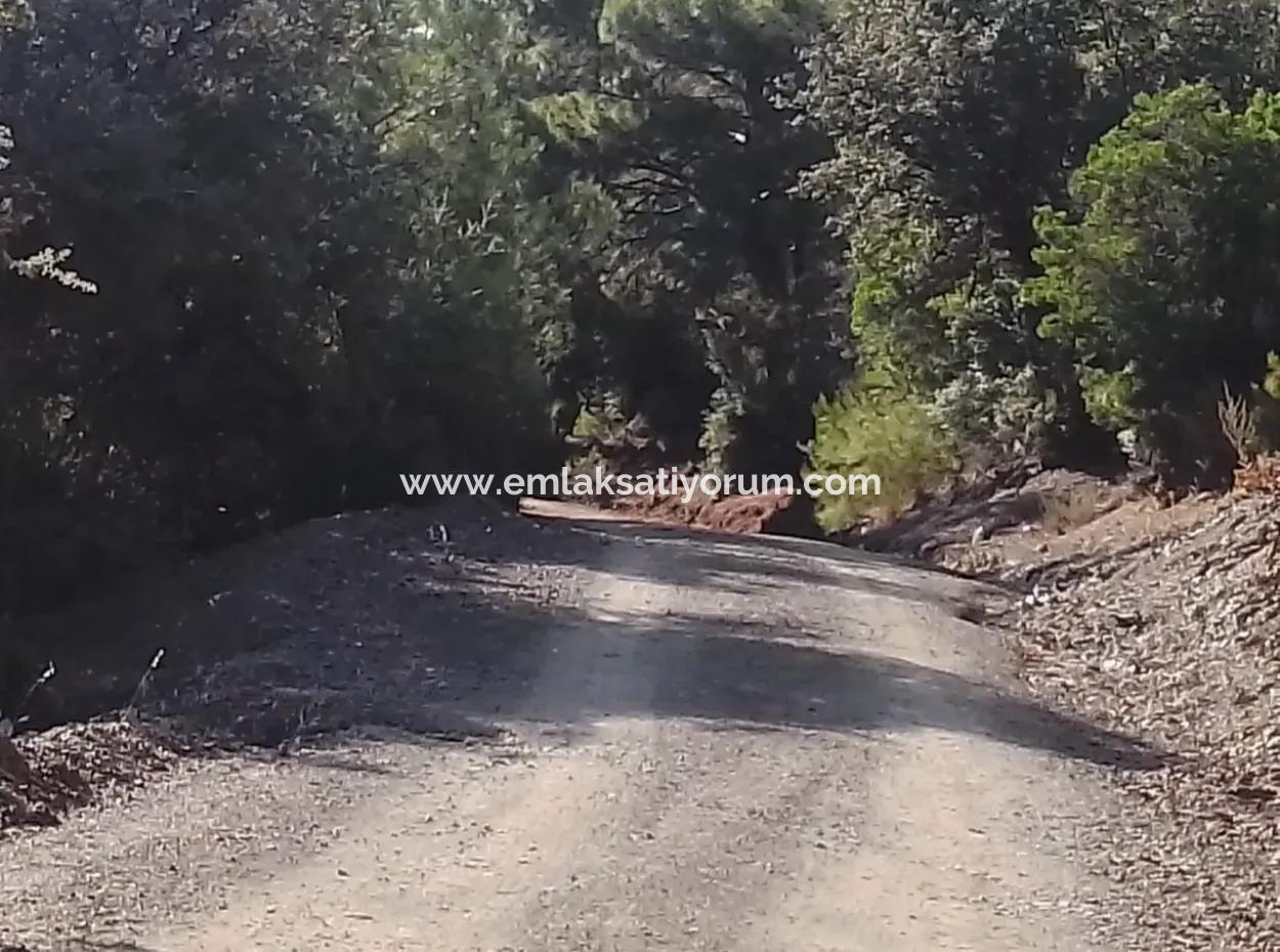 Muğla Dalyan Gökbelde 7 270 M2 Detached Title Deed Sea And Lake View Land For Sale