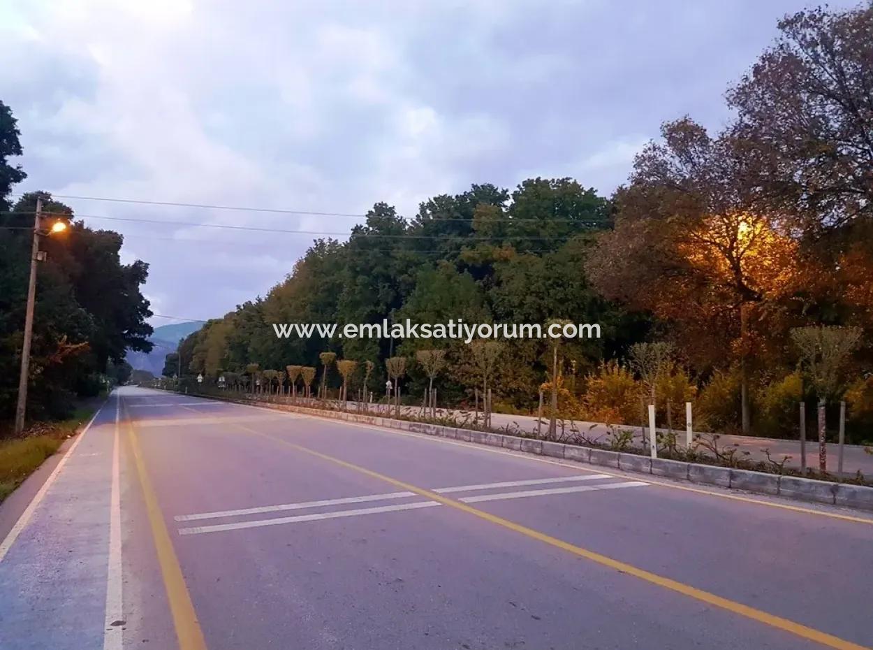 Köşebaşı Plot For Sale In Archer